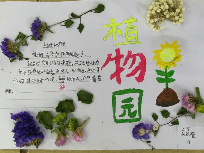 逸夫小学二5班有趣的动植物手抄报