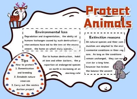 野生动物与自然和谐共处七3班手抄报展濒危动物英语手抄报人民路英语