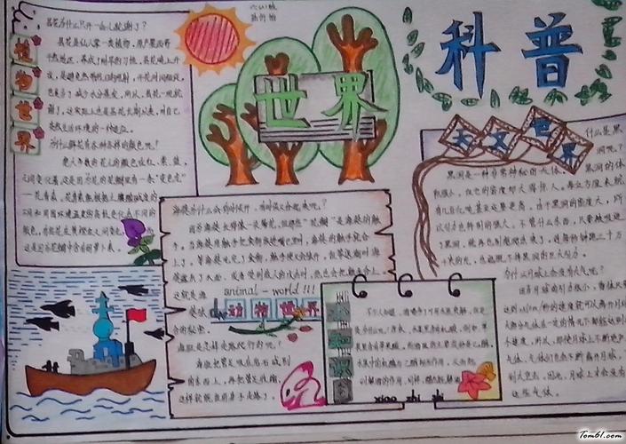 小学生科普手抄报版面设计图6