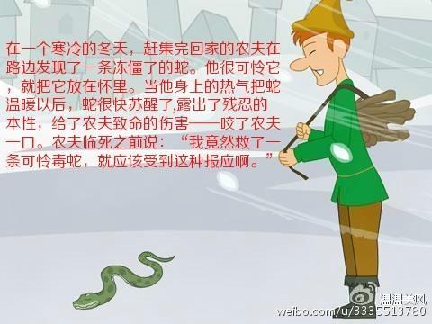 农夫与蛇简单手抄报简单手抄报