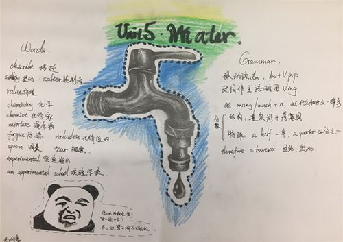 water--毓贤学校初一3班英语单元总结第5期手抄报展示