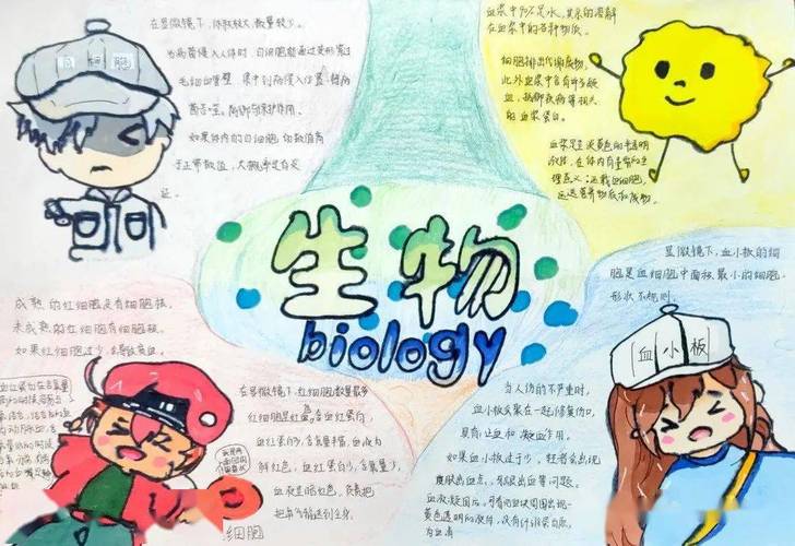 四川省简阳中学名校集团第二届学科节之生物学手抄报比赛我身边的生物