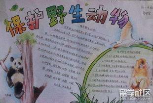 小学生动物题材手抄报 小学生手抄报