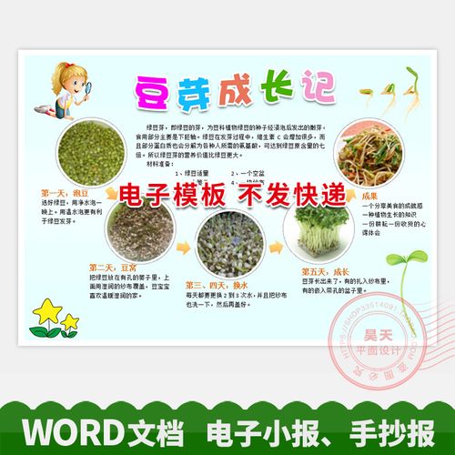 植物观察日记豆芽成长记绿豆芽板报电子小报手抄报word模板wg044