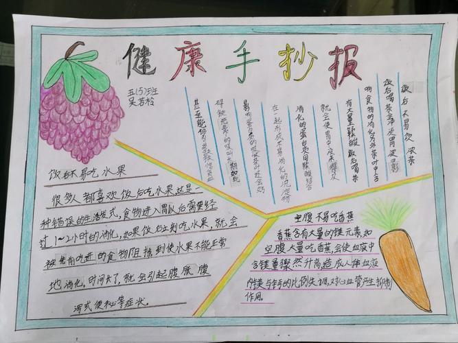 以健康教育为主题的小学生手抄报 健康教育手抄报