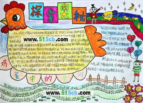 探索奥秘手抄报鸡蛋中的秘密