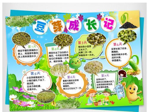 绿豆芽的生长观察日记手抄报党的生日手抄报