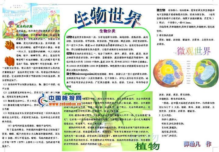 的类群手抄报三年级上册手抄报关于青菜的生物手抄报 党的生日手抄报