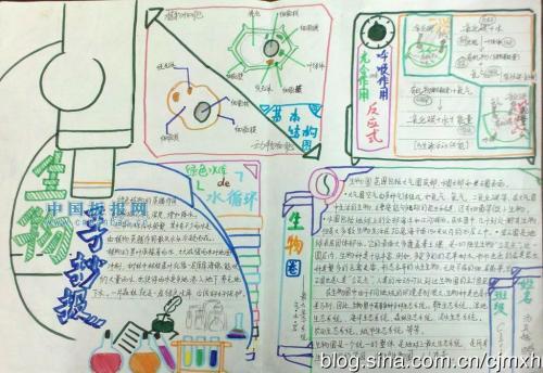 首页 手抄报 学科手抄报 生物手抄报     生物圈主要由生命物质生物