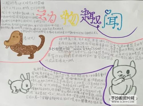 6张小学生的动物趣闻手抄报