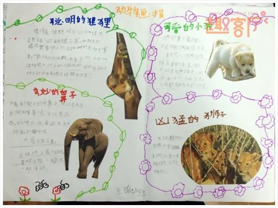 动物植物手抄报真的看起来很有趣呢