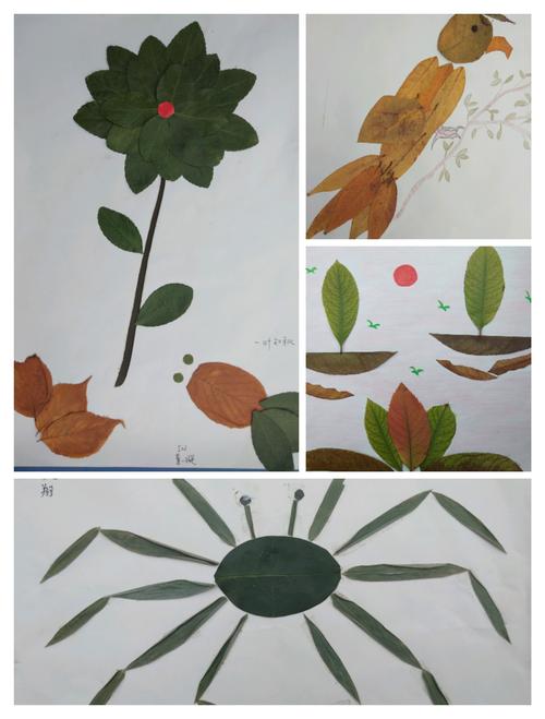 秋之韵 一一一玉泉学校小学部举办树叶拼贴画和手抄报比赛