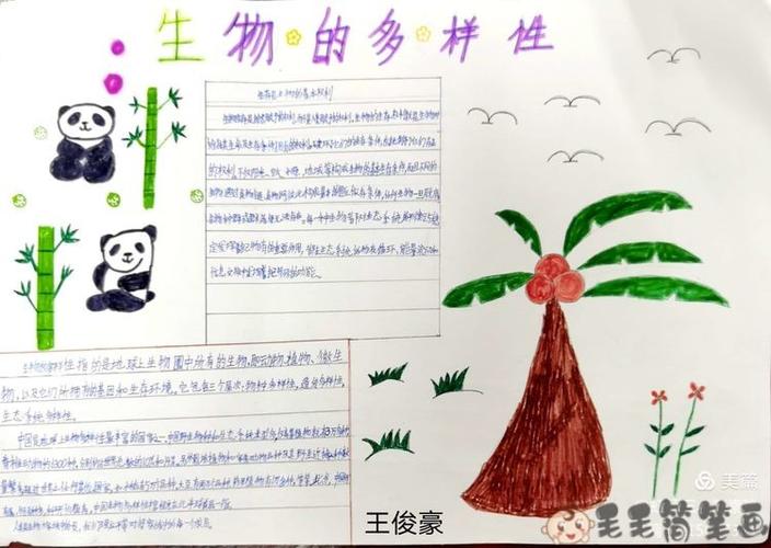 cop15手抄报生物多样性手抄报