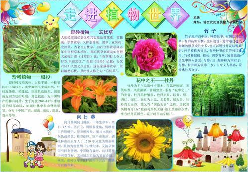 走进植物世界886a3小学生电子小报成品简报报刊手抄报模板画报剪报