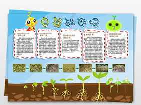 关于豆芽生长的手抄报种子的生长过程手抄报种子发芽过程手抄报