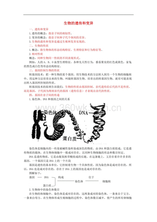 生物遗传与变异的秘密手抄报 生物手抄报-蒲城教育文学网