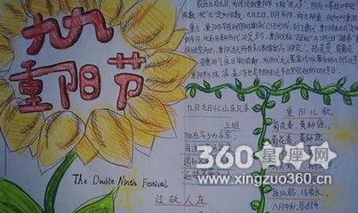 重阳节菊花画框手抄报 重阳节手抄报