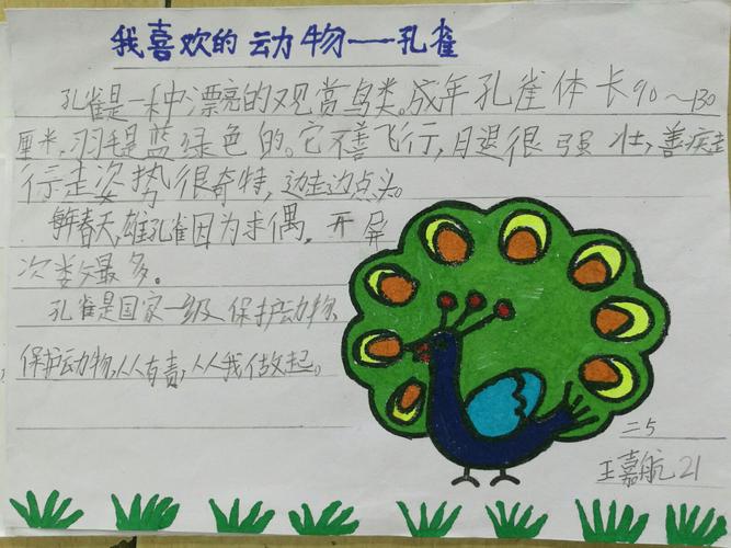 逸夫小学二5班有趣的动植物手抄报