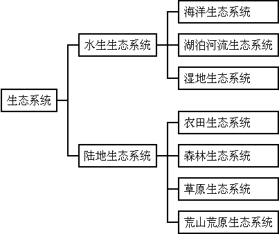 生态系统的能量流动推动着各种物质在生物群落与无机小学生手抄报