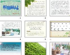 神奇的爬山虎的脚手抄报手抄报图片大全集