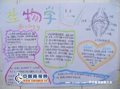 生物化学与药学的手抄报 关于化学的手抄报