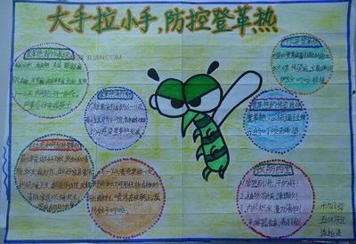 防蚊灭蚊手抄报大全-148kb