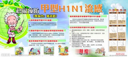 h7n9的手抄报急急急