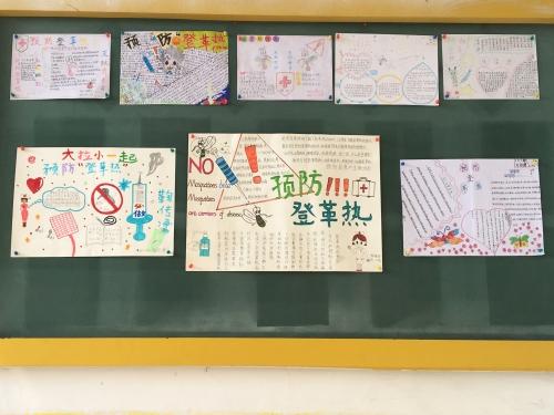 塘下镇鲍四小学举行预防登革热手抄报比赛