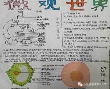 显微镜的使用方法手抄报学习方法手抄报