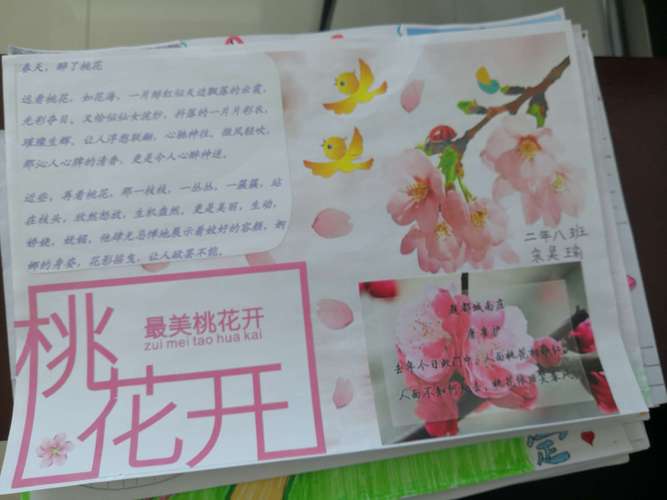 我和桃花有个约会锡市芳草小学二年级优秀手抄报展