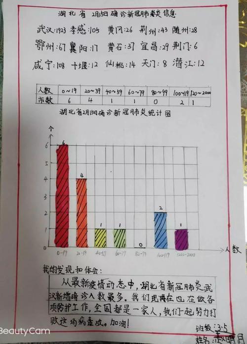 统计表和统计图手抄报手抄报图片大全