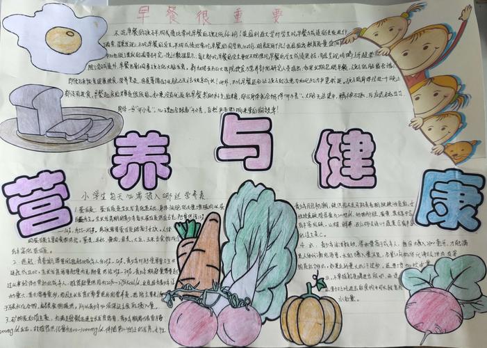 板桥小学营养手抄报参选作品