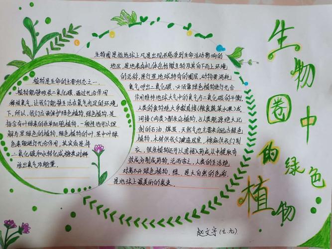 科尔沁实验初中七年九班 生物第二期手抄报《生物圈中的绿色植物》