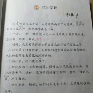 花的学校和大青树下的小学手抄报 我的学校手抄报