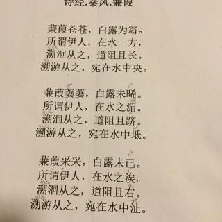 蒹葭古诗专题手抄报古诗手抄报