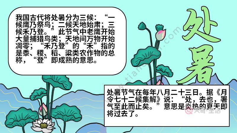 处暑手抄报怎么画处暑手抄报的画法