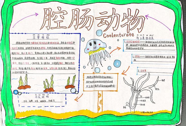 线形动物的形态和特征手抄报 关于生物的手抄报-蒲城教育文学网