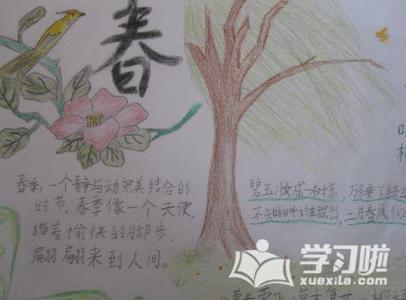 小学学习方法 二年级方法 二年级语文 《二年级美丽的春天手抄报》