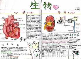 维护国门生物手抄报 生物手抄报