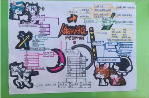 画一幅人体思维导图手抄报英语导图手抄报