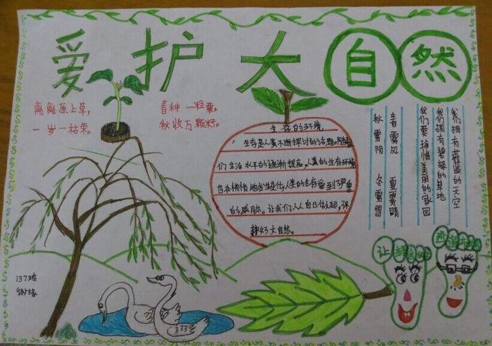 绿色植物手抄报图片大全