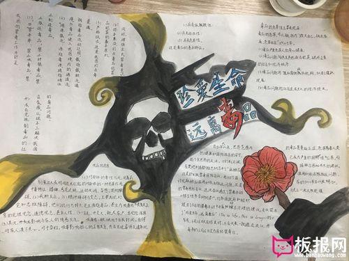 有关禁毒的手抄报简单-图片欣赏中心有关禁毒的手抄报简单-图片欣赏