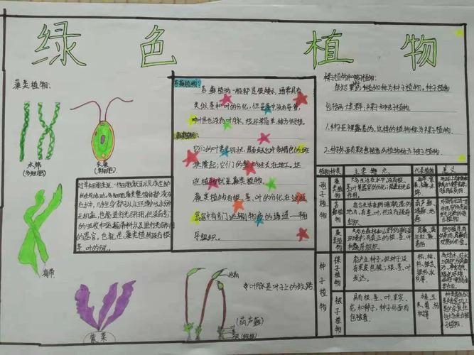 年十五班生物第二期手抄报 写美篇 光合作用实质绿色植物通过叶绿体