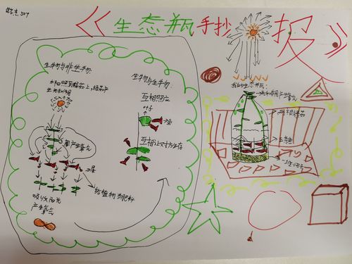 北大附属嘉兴实验学校五年级科学生态系统手抄报展示