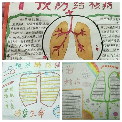 白塔小学二年级主题活动抗疫防痨 健康呼吸手抄报