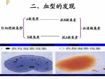 血型与输血简单画手抄报 简单手抄报