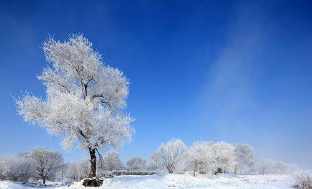 喜迎雾凇冰雪节手抄报