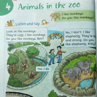 手抄报 animals in the zoo