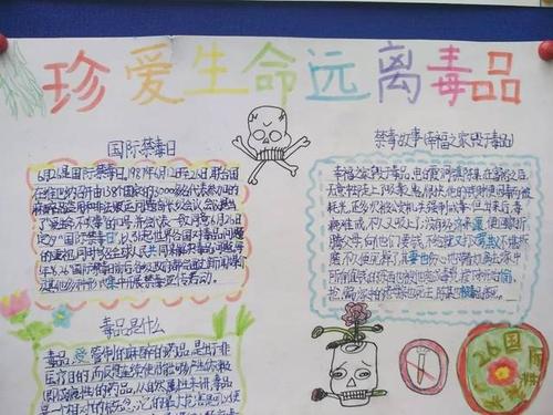 手抄报展示禁毒再深化华师附属恒大龙城小学举行禁毒我先行手抄报