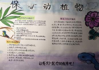 动物是人类可爱的朋友也是有关草莓的手抄报 14张 人与动物手抄报